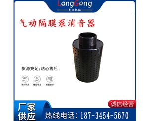 气动隔膜泵消音器 94810 适用于BQG-350/0.2，BQG-450/0.2机型